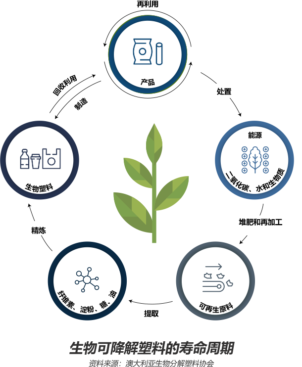 生物可降解塑料的寿命周期 资料来源:澳大利亚生物分解塑料协会