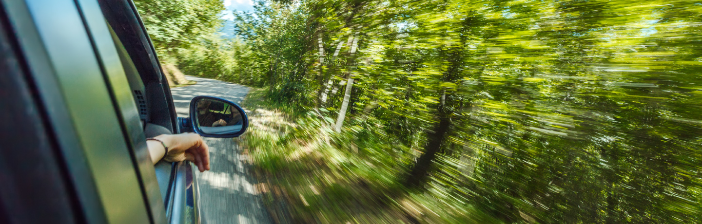 清风吹拂,一辆汽车行驶在绿树成荫的道路上。