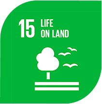 15 LIFE ON LAND