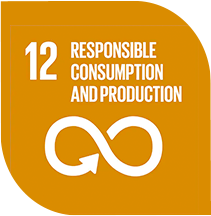 12 RESPONSIBLE CONSUMPTION AND PRODUCTION