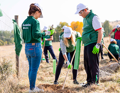 Semana Voluntariado Iberdrola